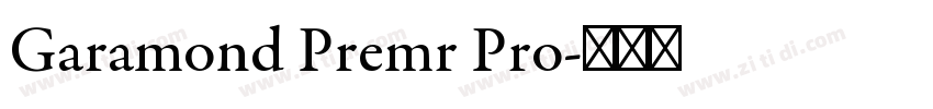 Garamond Premr Pro字体转换